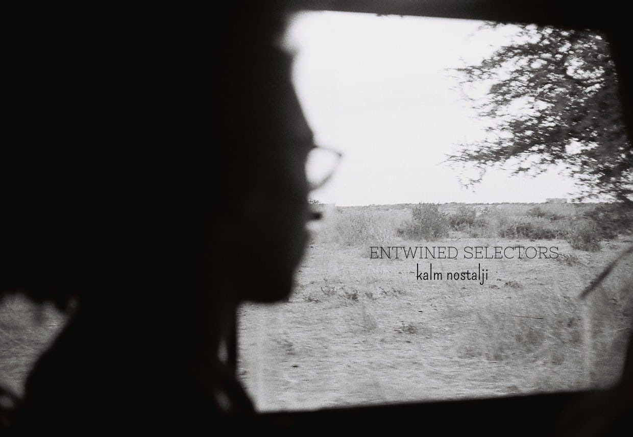 Entwined Selectors 2024